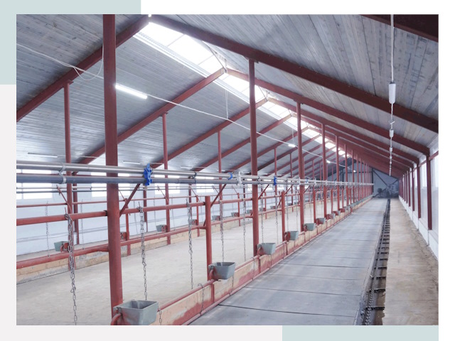 Строительство коровников в Полевской от 616 руб.