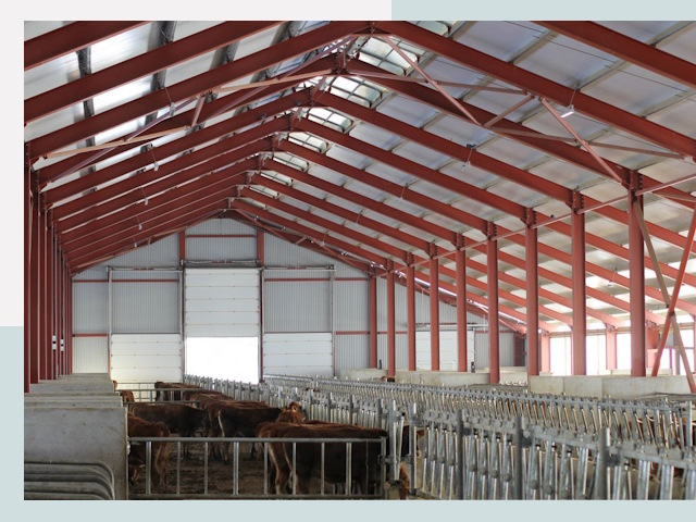 Строительство коровников в Полевской