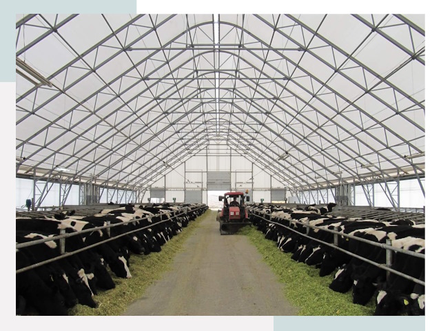 Тентовые коровники в Полевской от 616 руб. - Надежно и доступно