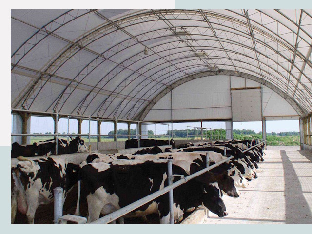 Тентовые коровники в Полевской
